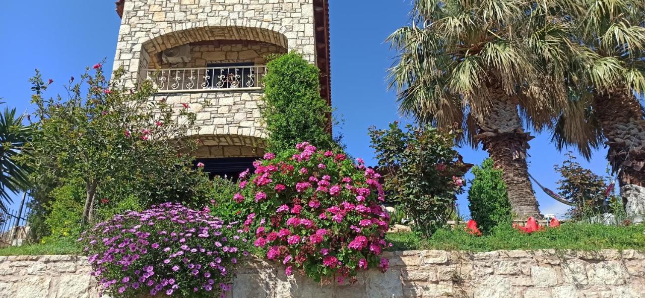 Elouthia Residence With Sea View And Hot Tub Tsoútsouros エクステリア 写真